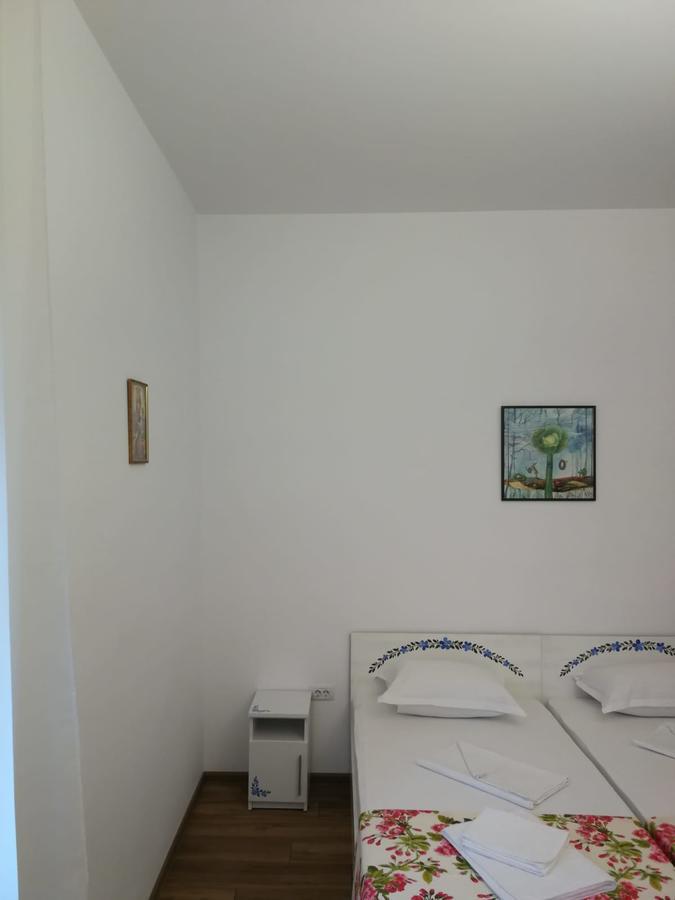 Pensiunea Geostar 2 Curtea De Arges Exterior photo